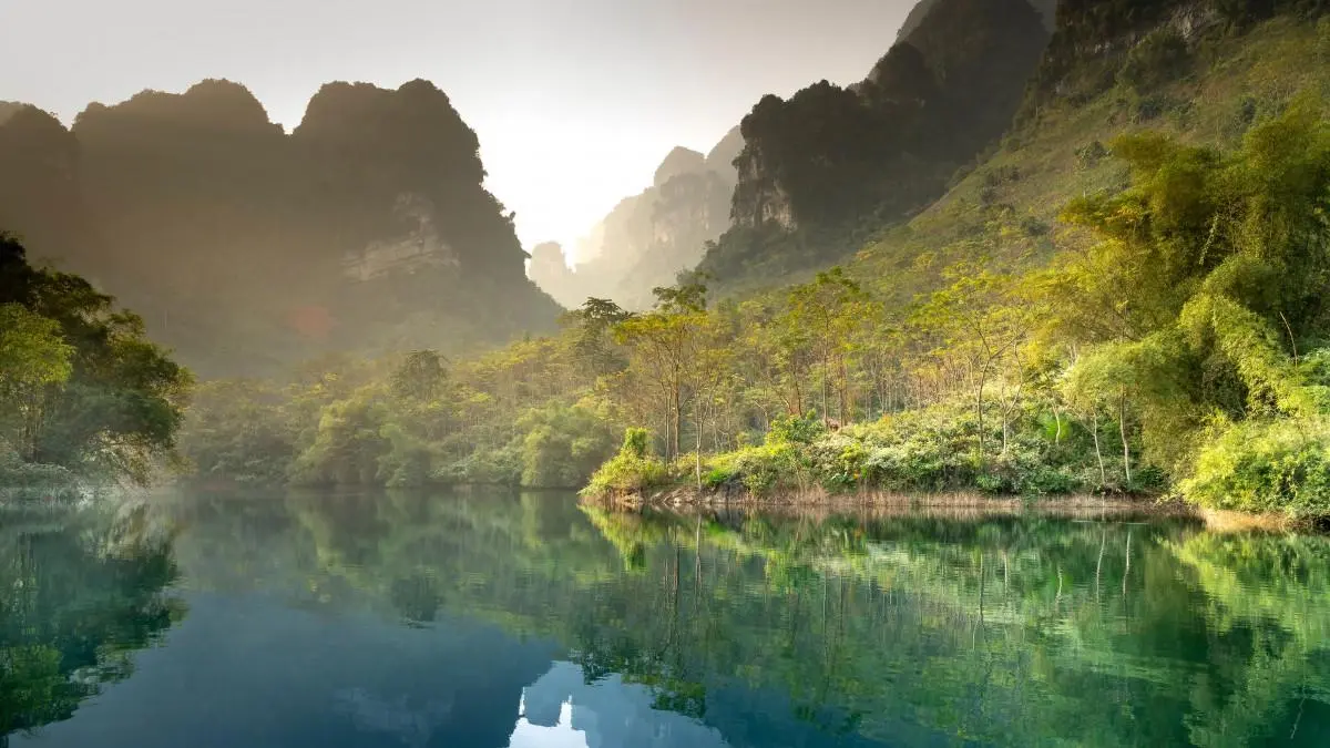 绿色科技高效
